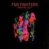 Los mejores  - Wasting Light [Vinilo]